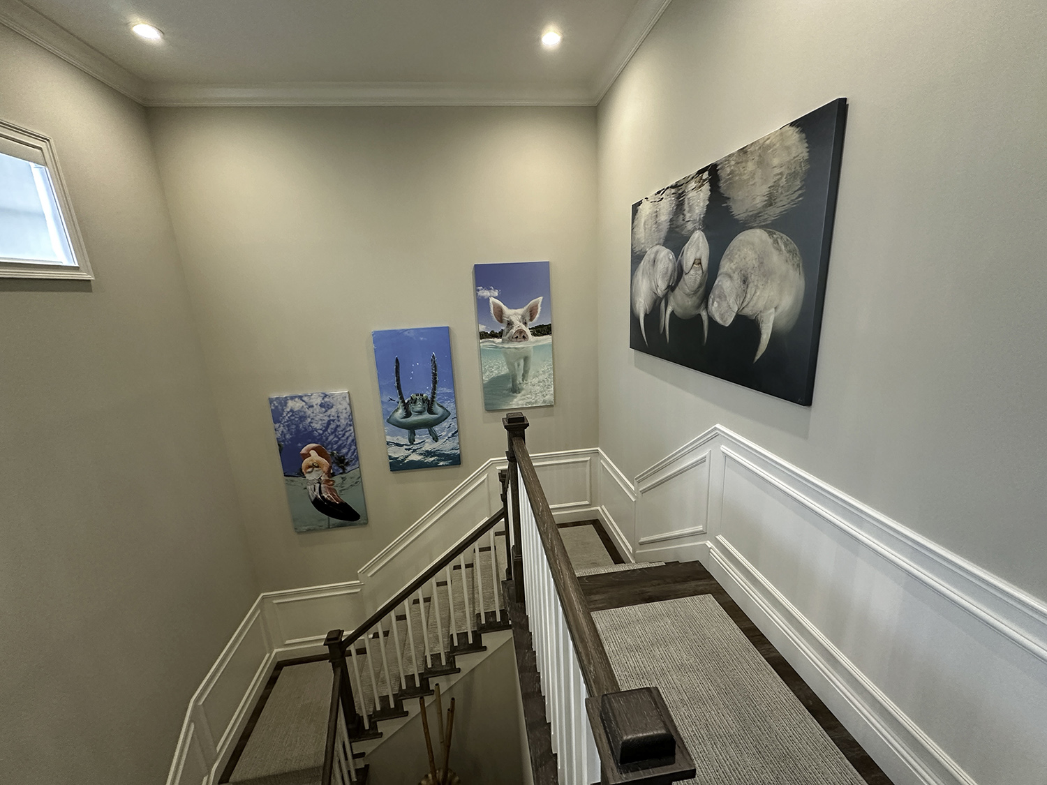large photo art of manatees anfd fish above stairs