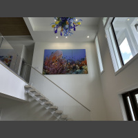 Large, vibrant coral reef photo art above stairs