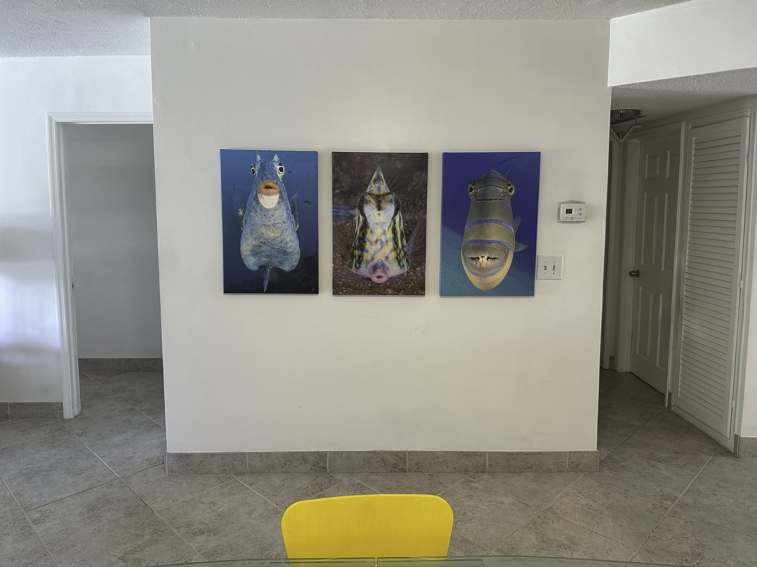 three photographs as art - each a "fish face" looking into the camera