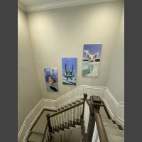 large underwater photographs of a flamingo, and sea turtle, and a swimming pig hang in a stairwell