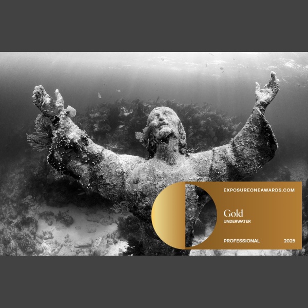 Gug's "Holy Waters" Wins Gold Medal at ExposureOne Awards