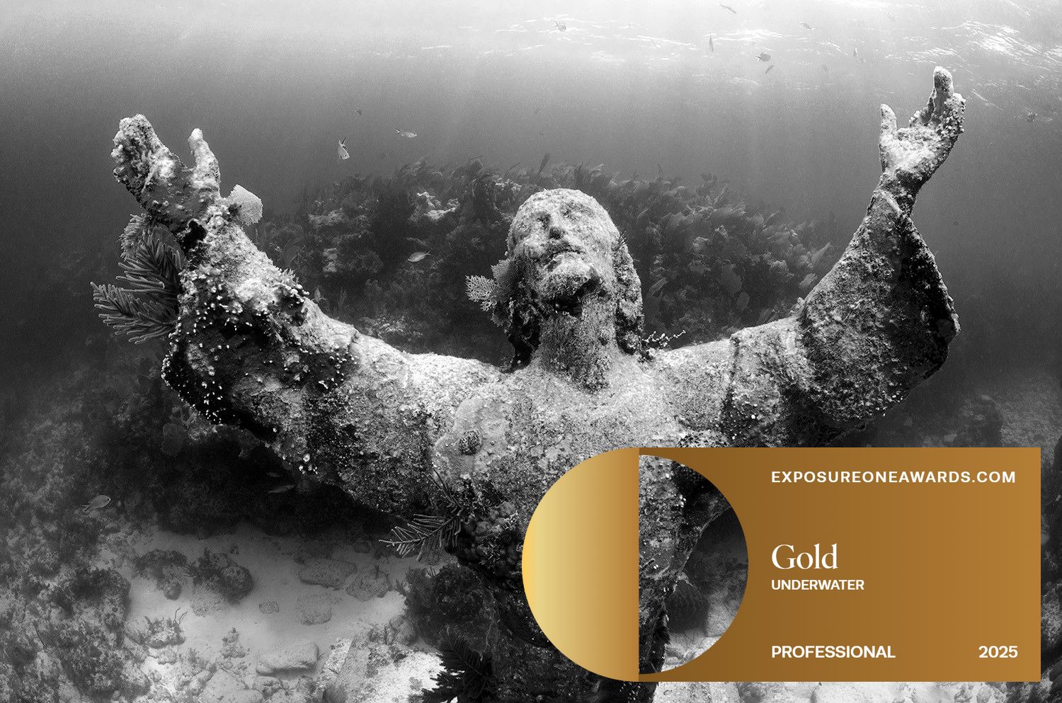 Gug's "Holy Waters" Wins Gold Medal at ExposureOne Awards