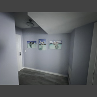 Pearl and Brine Swine - 16x24 A trio of swimming pig photos hang on an entryway wall