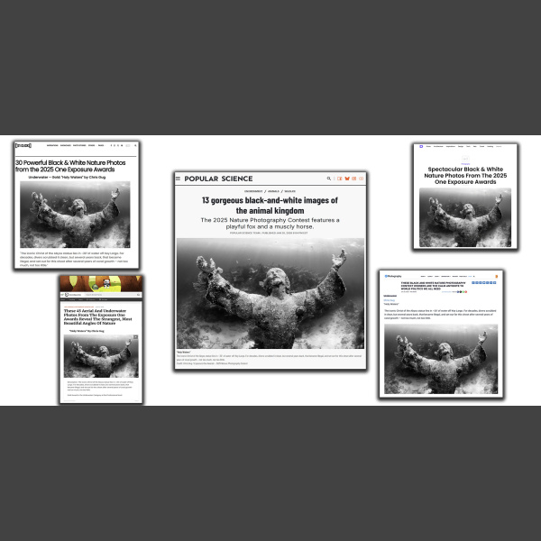 article clippings from the good press received by Holy Waters - an underwater photograph by Chris Gug featuring the underwater Christ of the Abyss statue