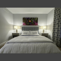 large photograph of a clownfish in its pink and purple and green anemone hanging over a bed