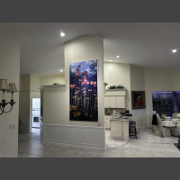 a large underwater photograph of lily pads hangs in a living room