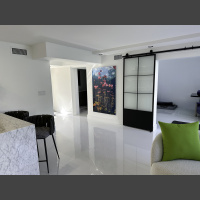 a large underwater photograph of lily pads hangs in a living room