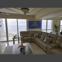 large art photograph of a green sea turtle being cleaned by yellow tangs, decorates a living room