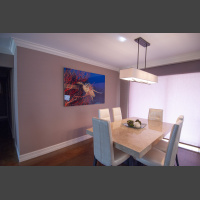 The Turtle In Red - 60x40 Aluminum