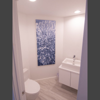 Bloom 60x28 Aluminum