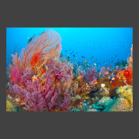 Colorful coral reef in Papua New Guinea with sea fans and anthias fish