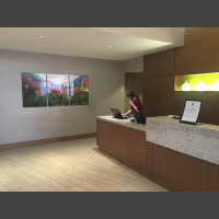 Lilies in the Sky With Diamonds - triptych - Boca Hyatt