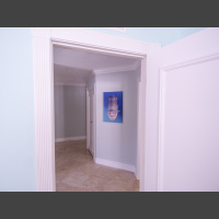 Queen Triggerfish Attack - 16x24 aluminum