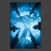 Underwater photograph looking straight up through the broken legs of an old pier, with a massive school of sardines swimming among it