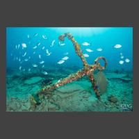 Copenhagen shipwreck anchor from the year 1900. Underwater photograph.