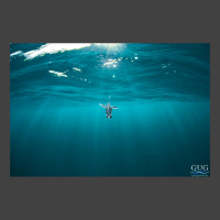 a baby sea turtle swims upwards in the ocean, about to take a breath of air. Light rays stream down through the water in the background