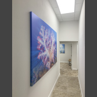 Heart of the Sea 75x50 canvas - Harbor Springs Vet