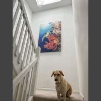 Candy Crush 60x40 canvas