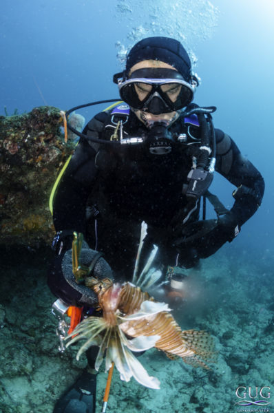 The Beautiful But Problematic Invasive Lionfish by Suzanne Bushnell -  Luxury Ocean Art For Your Home and Office