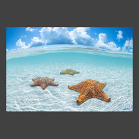 Stargazing for website