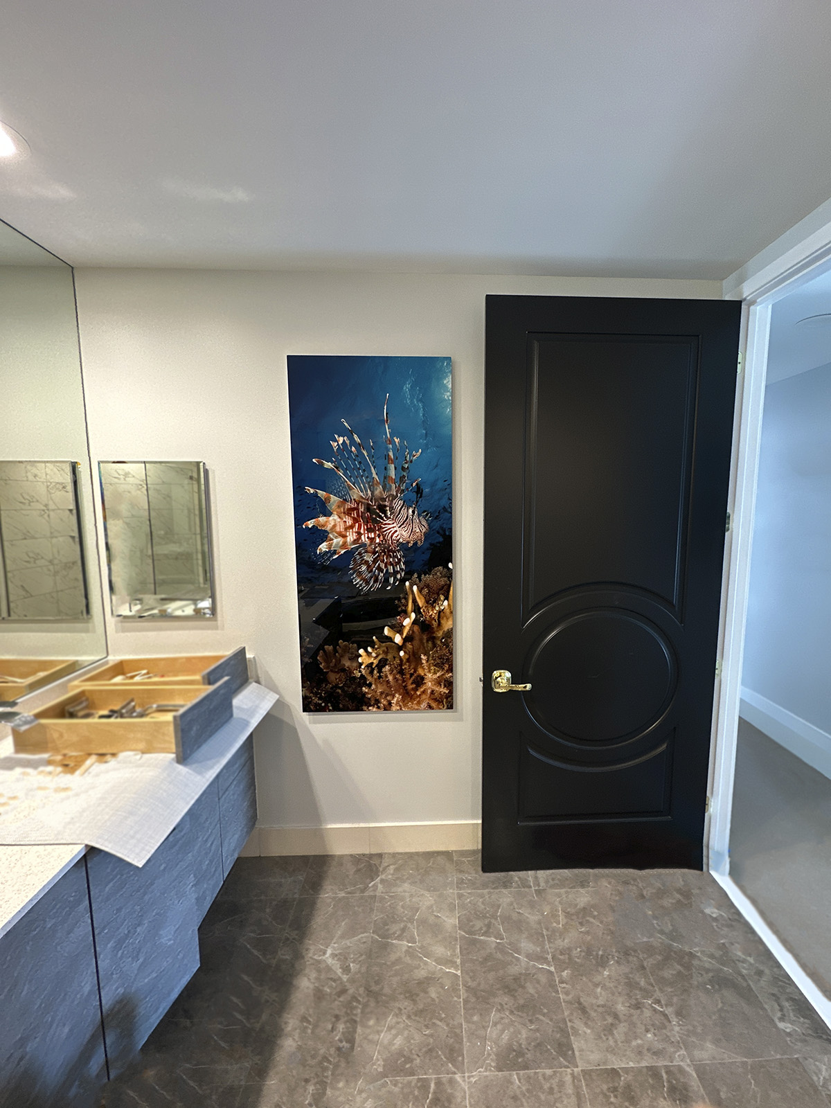 Lionfish 50x20 Aluminum