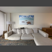 StarGazing 72x48 Canvas - Dog-Approved