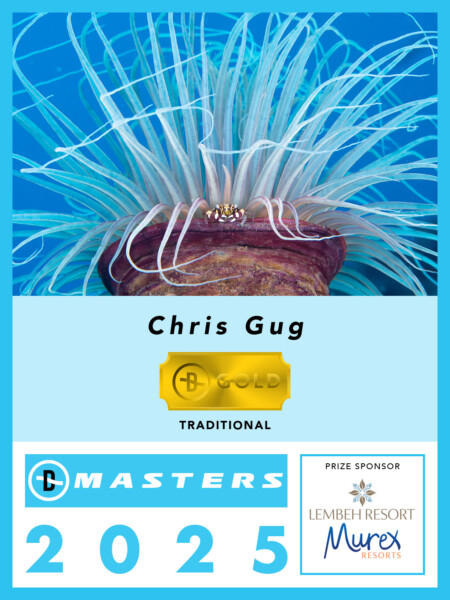 winner at DPG Masters Photo Contest