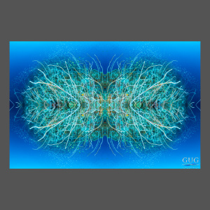Reflections 1