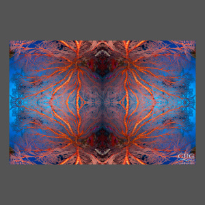 Reflections 2