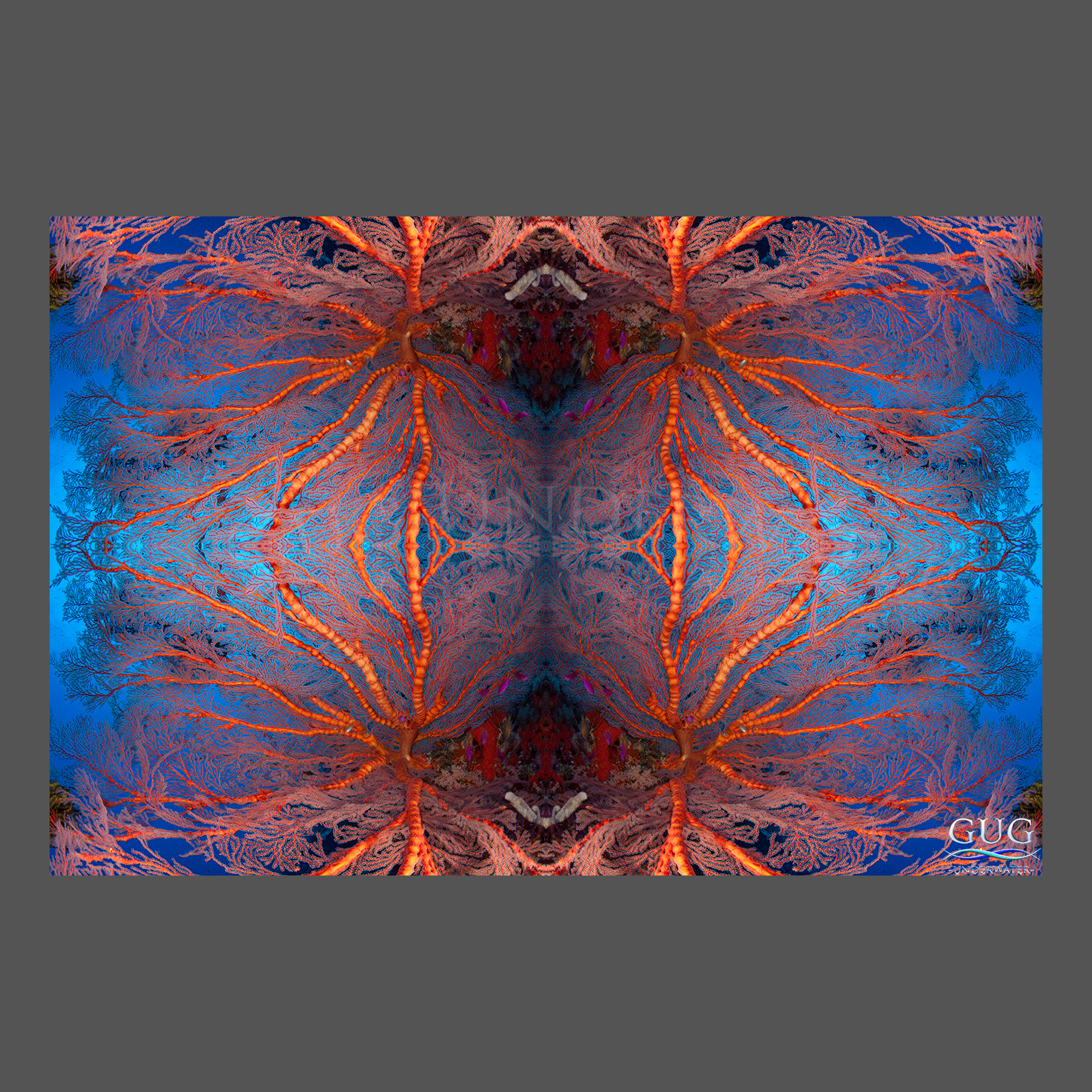 Reflections 2