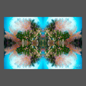 Reflections 3