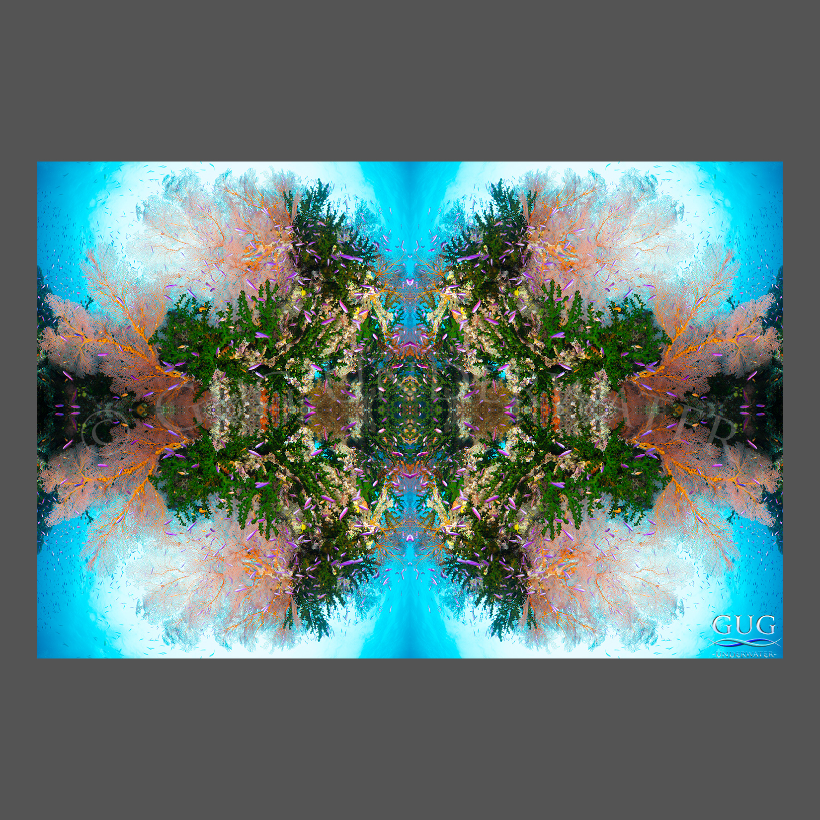 Reflections 3
