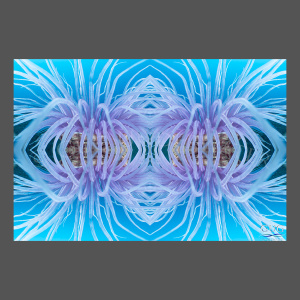 Reflections 4