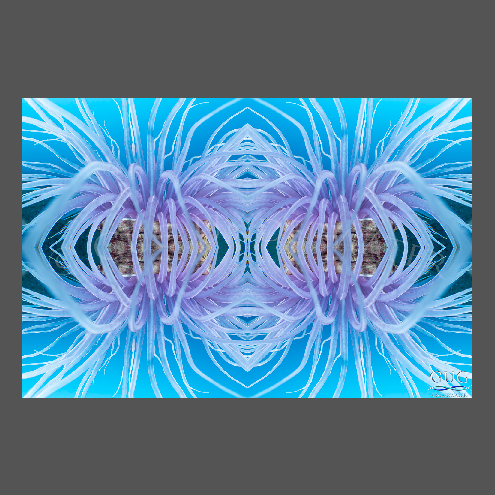 Reflections 4