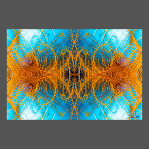 Reflections 6