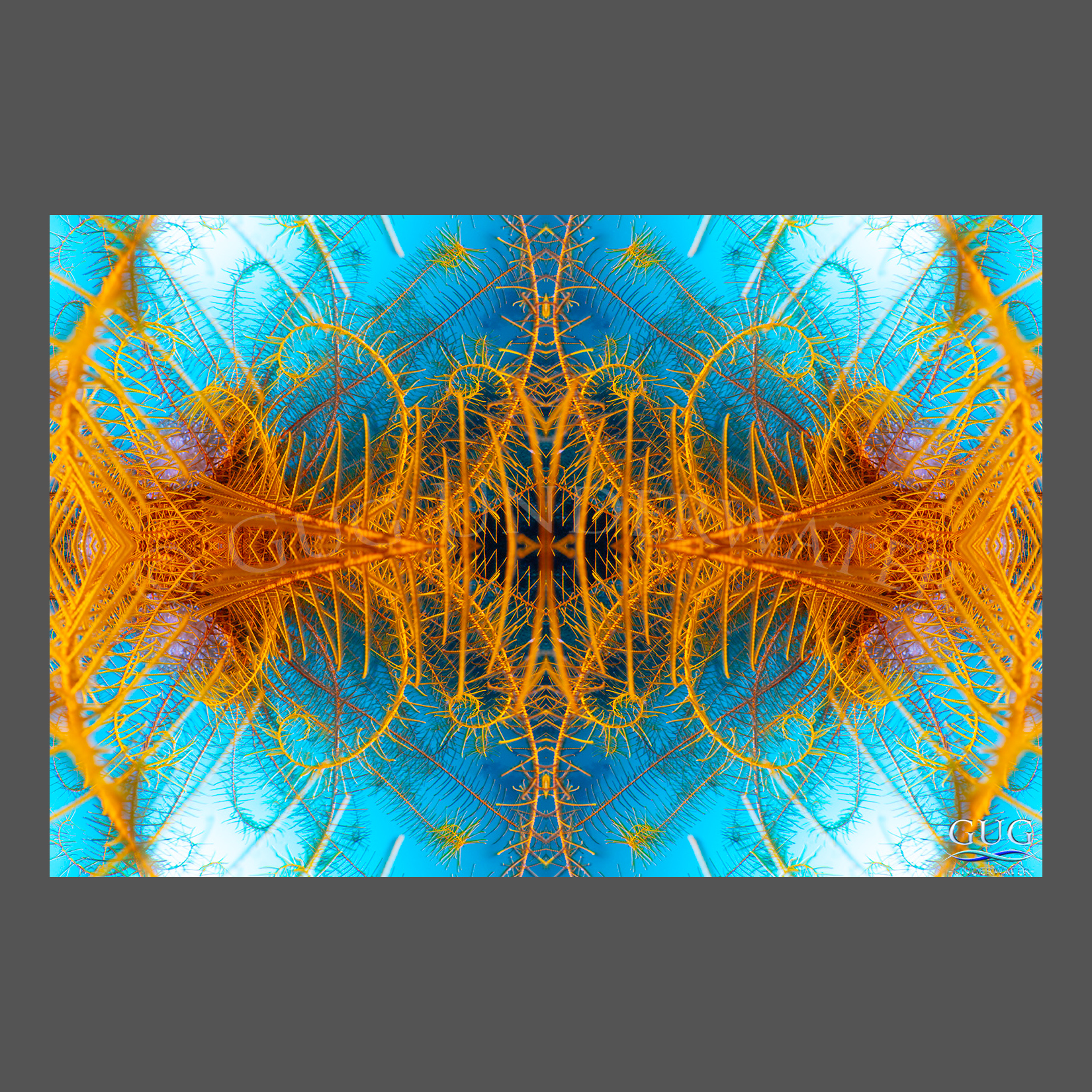 Reflections 6