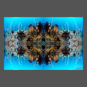 Reflections 9