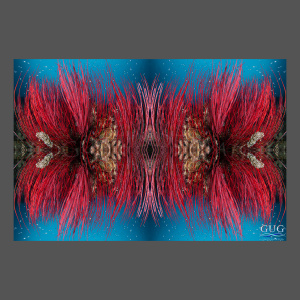 Reflections 10