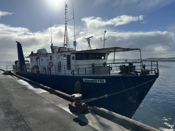 the shar expedition boat m/v rodney fox