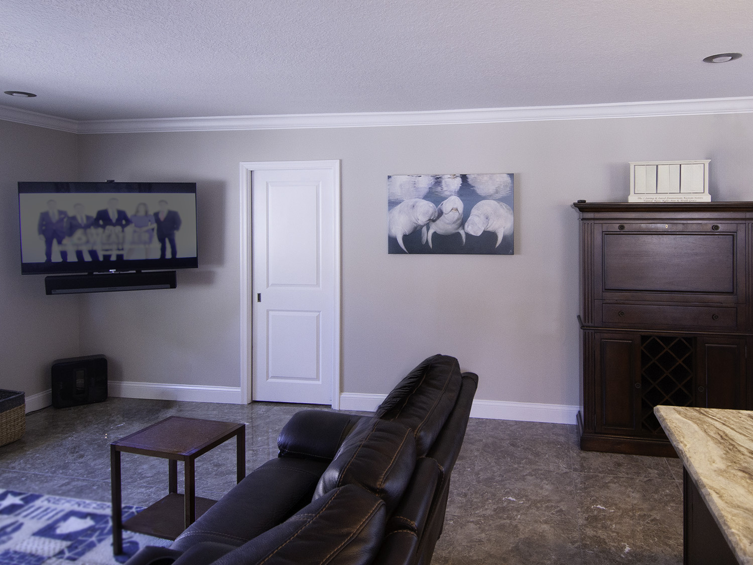 BFFs 36x24 cute photograph of three manatees hanging in a living room