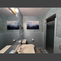 fine art underwater photograph of a school of fish, displayed in a bathroom