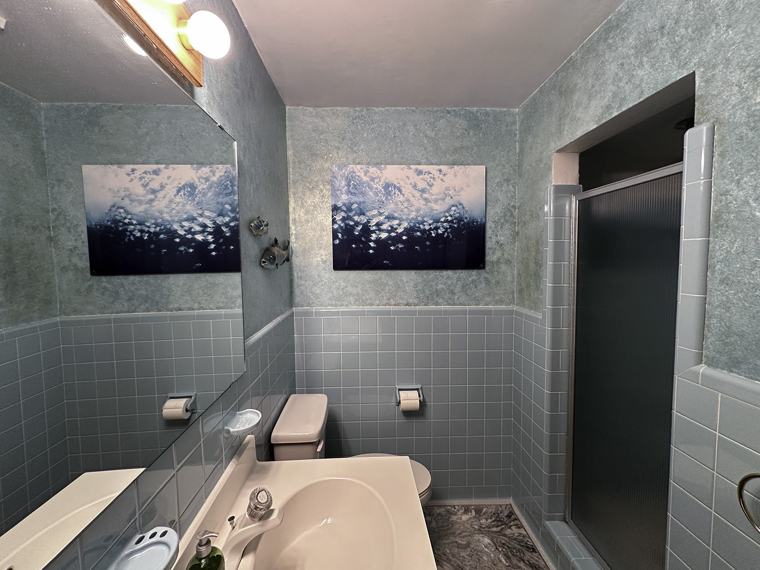 fine art underwater photograph of a school of fish, displayed in a bathroom