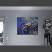large fine art underwater photograph of a wall of coral, displayed in a hallway