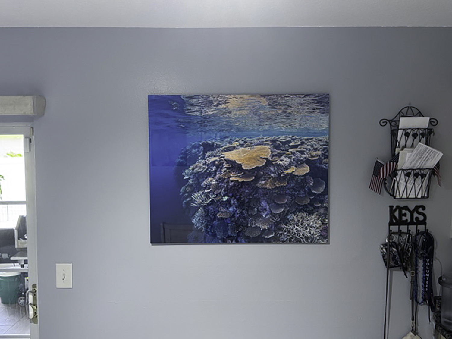 large fine art underwater photograph of a wall of coral, displayed in a hallway
