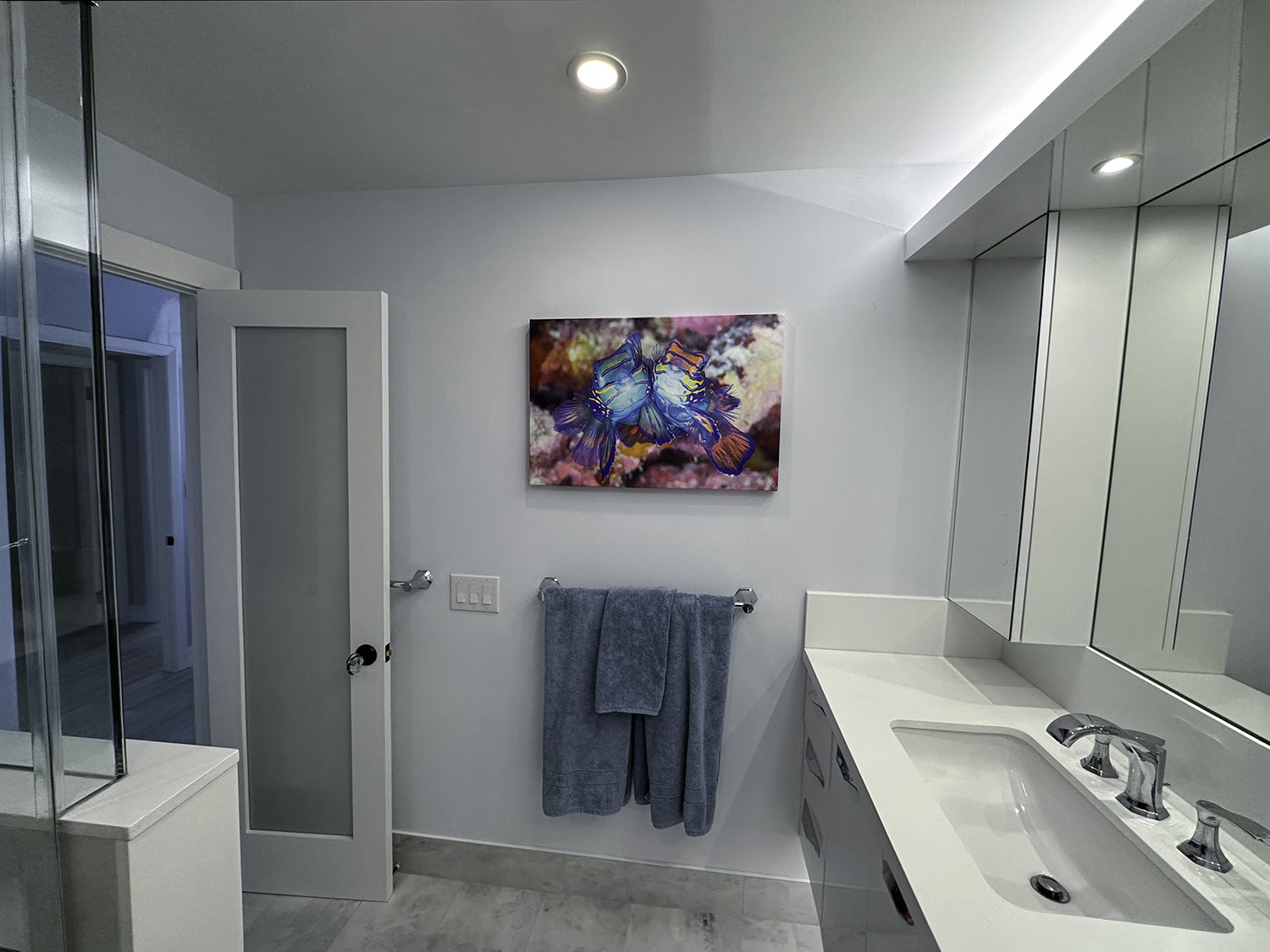 fine art underwater photograph of a pair of mandarinfish, displayed in a bathroom