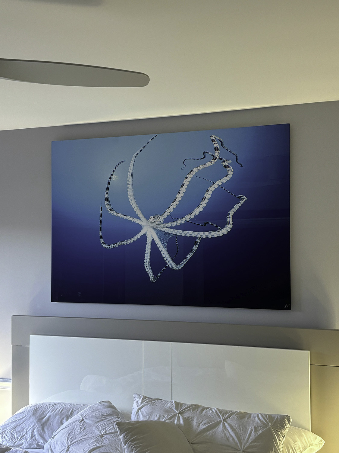 underwater photograph of a mimic octopus hangs above a bed