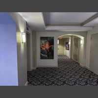 large fine art underwater photograph of a clownfish in an anemone, displayed in a elevator lobby