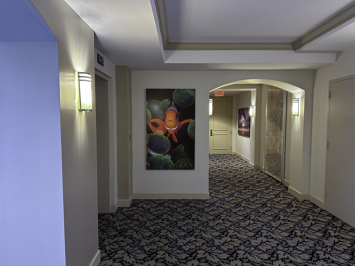large fine art underwater photograph of a clownfish in an anemone, displayed in a elevator lobby