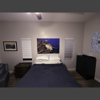 fine art underwater photograph of a hawksbill sea turtle, displayed above a bed