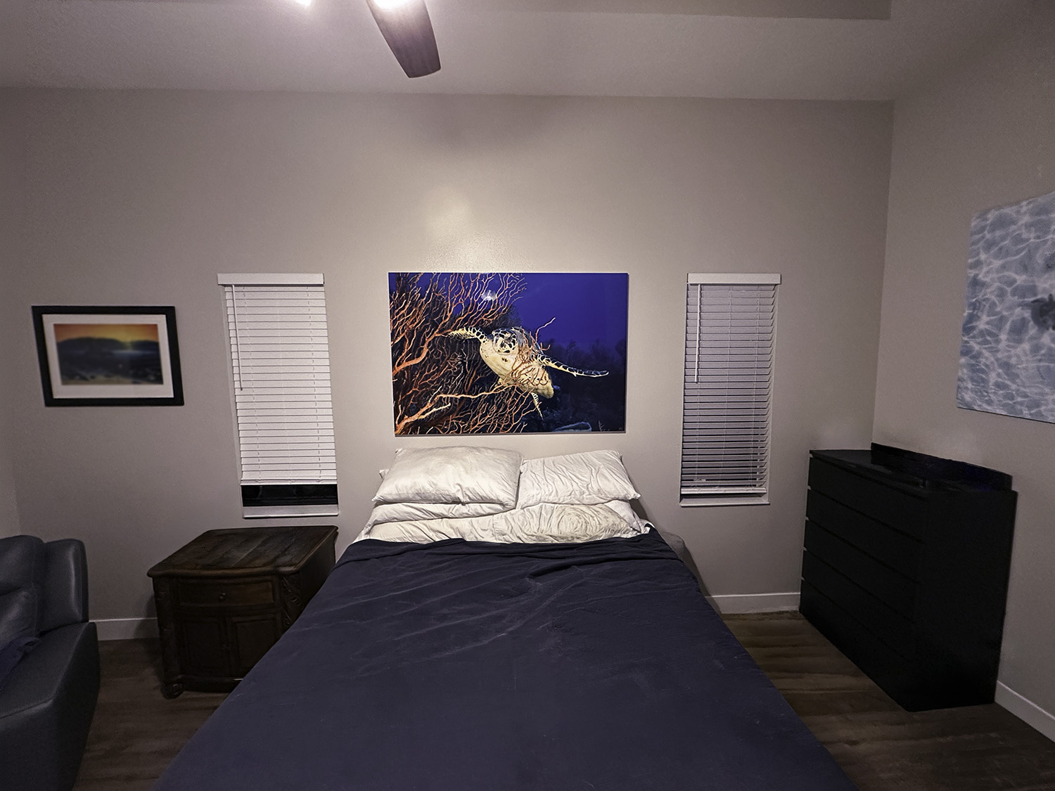 fine art underwater photograph of a hawksbill sea turtle, displayed above a bed